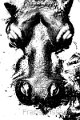 Grafisch 3